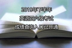 2019年下半年英語(yǔ)四六級(jí)考試成績(jī)查詢(xún)網(wǎng)址cet.neea.edu.cn